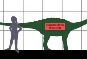 Magyarosaurus动物事实