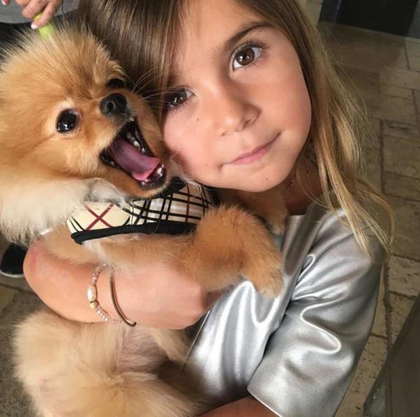 Norman! Sushi! Honey! A Guide to the Kardashian-Jenner Family’s Dogs