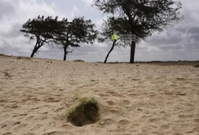 官员和当地人说，塞内加尔海滩上没有标记的坟墓里埋葬着数不清的西非移民